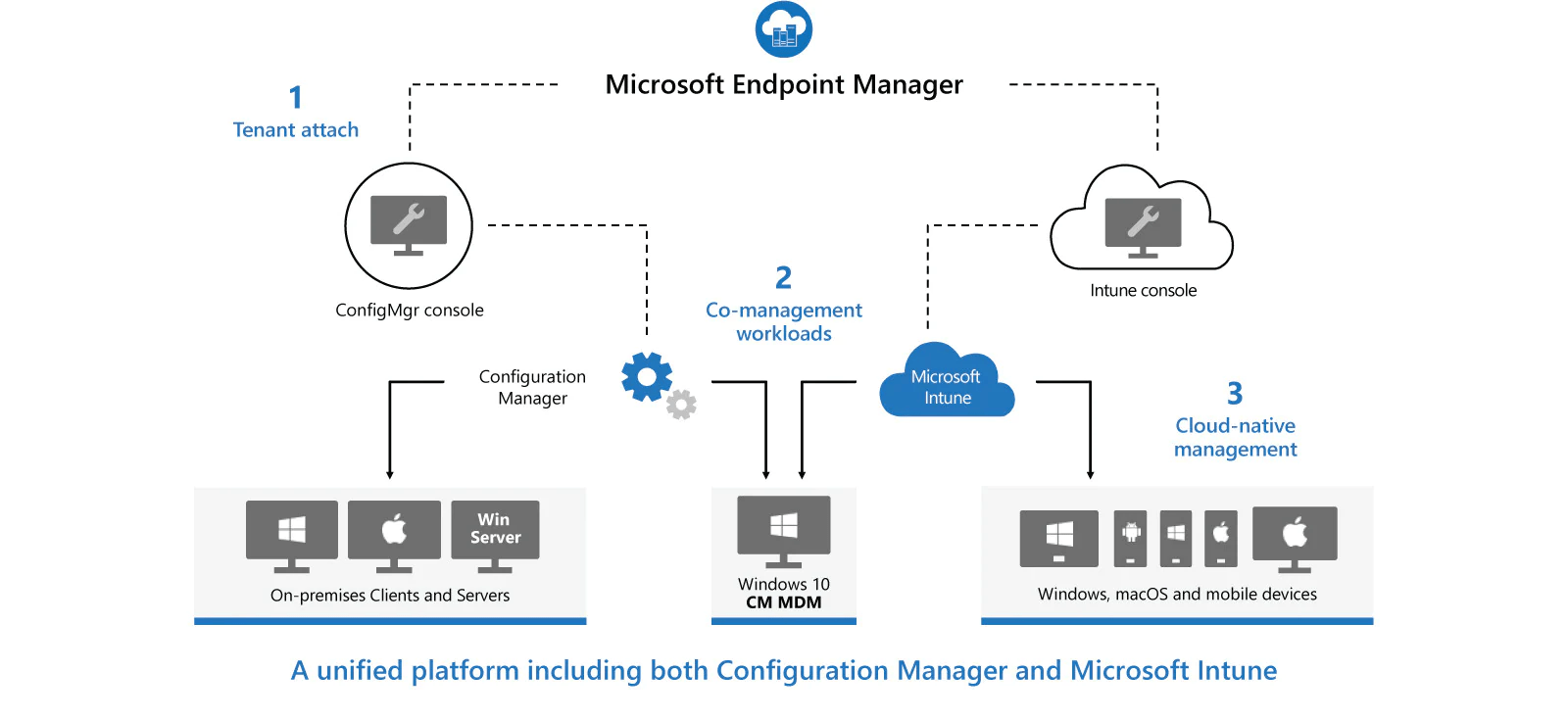 Esquema de Microsoft Endpoint