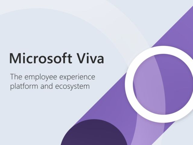 Microsoft Viva, una plataforma para mejorar la experiencia del empleado