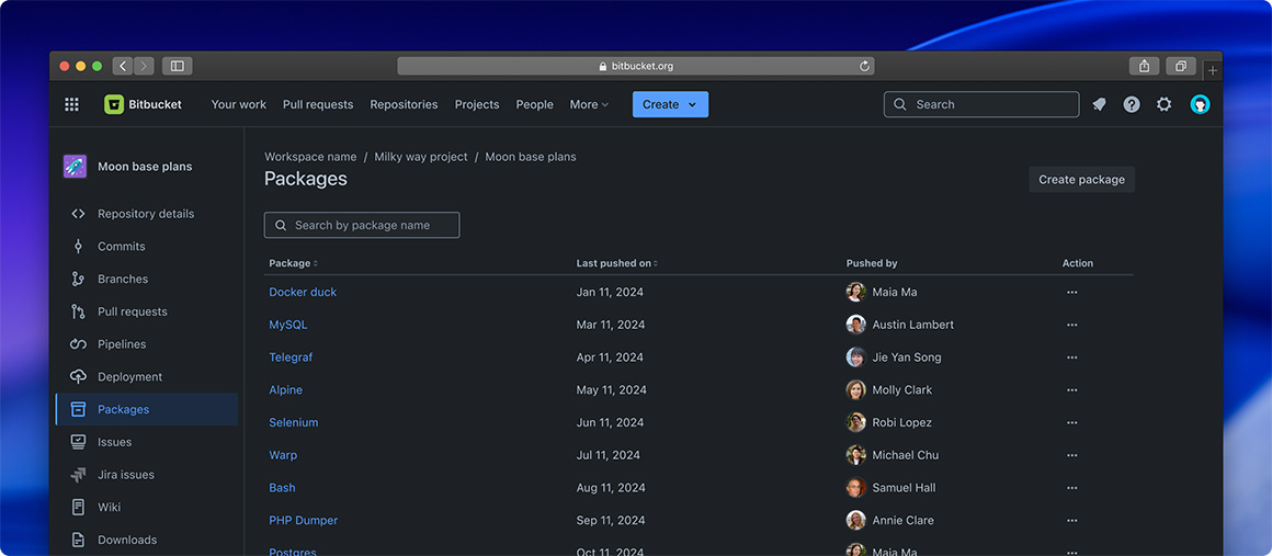 Bitbucket packages Bitbucket packages
